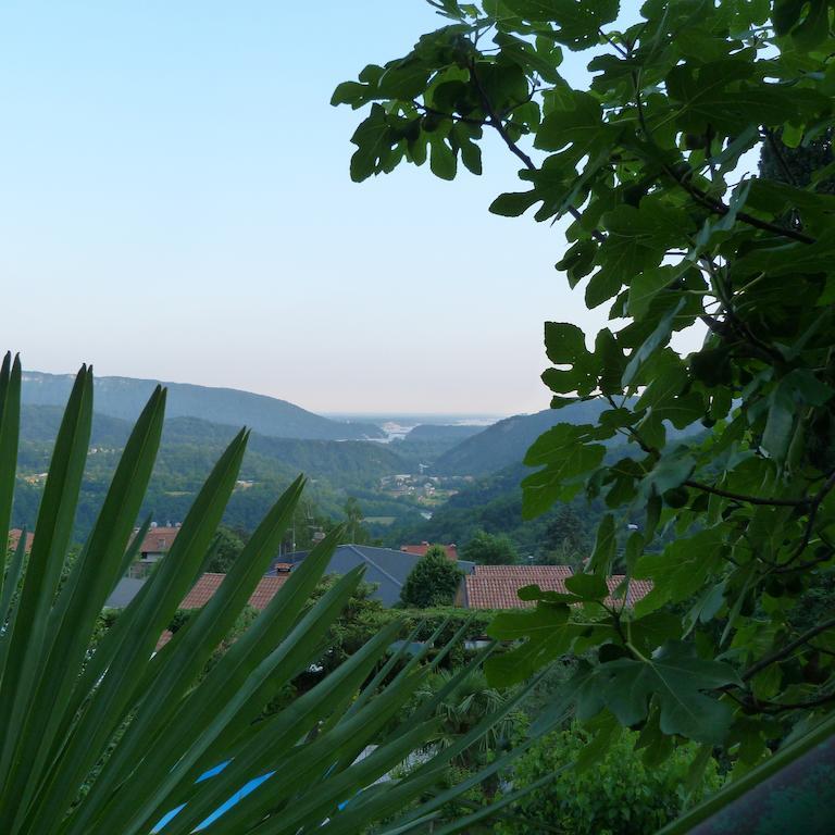 Villa Margherita Anduins Bagian luar foto